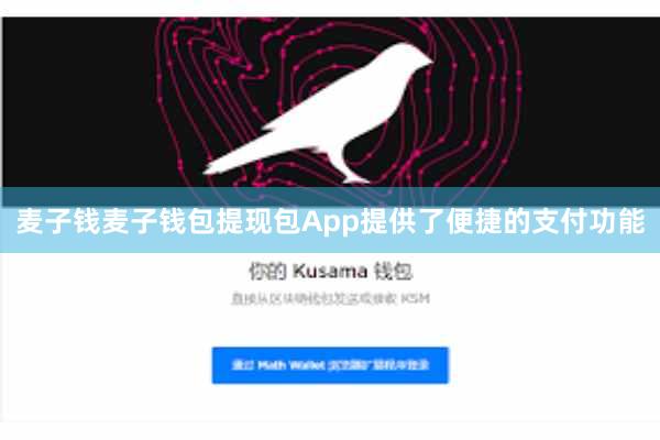 麦子钱麦子钱包提现包App提供了便捷的支付功能