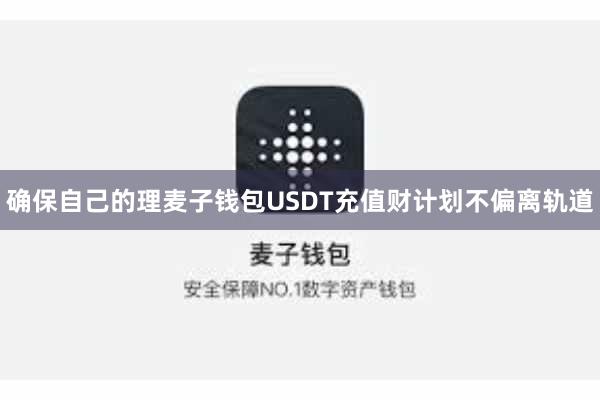 确保自己的理麦子钱包USDT充值财计划不偏离轨道