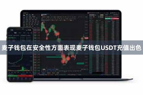 麦子钱包在安全性方面表现麦子钱包USDT充值出色