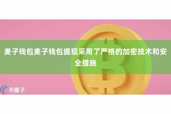 麦子钱包麦子钱包提现采用了严格的加密技术和安全措施