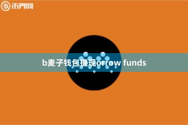 b麦子钱包提现orrow funds