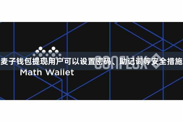 麦子钱包提现用户可以设置密码、助记词等安全措施