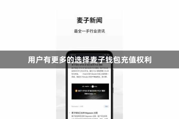 用户有更多的选择麦子钱包充值权利