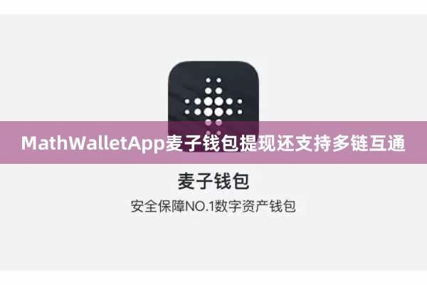MathWalletApp麦子钱包提现还支持多链互通