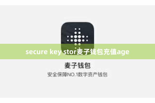 secure key stor麦子钱包充值age