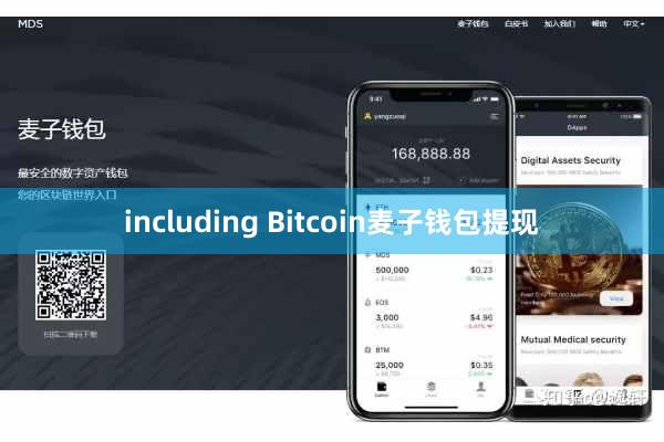 including Bitcoin麦子钱包提现