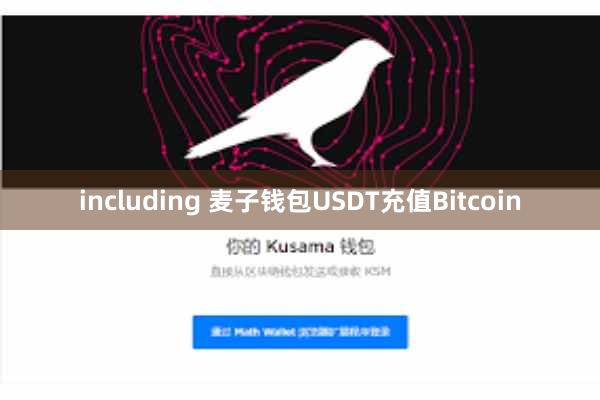 including 麦子钱包USDT充值Bitcoin
