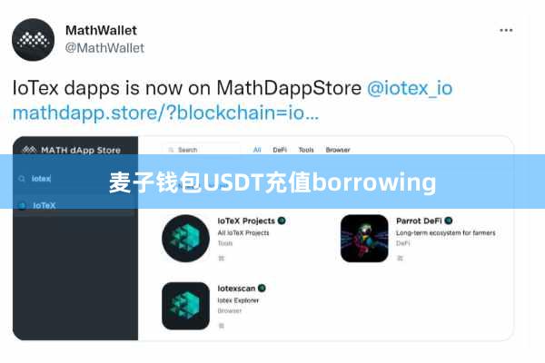 麦子钱包USDT充值borrowing