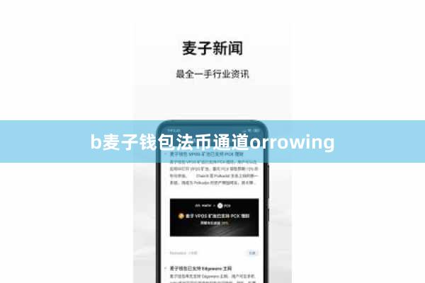 b麦子钱包法币通道orrowing