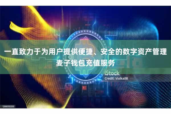 一直致力于为用户提供便捷、安全的数字资产管理麦子钱包充值服务