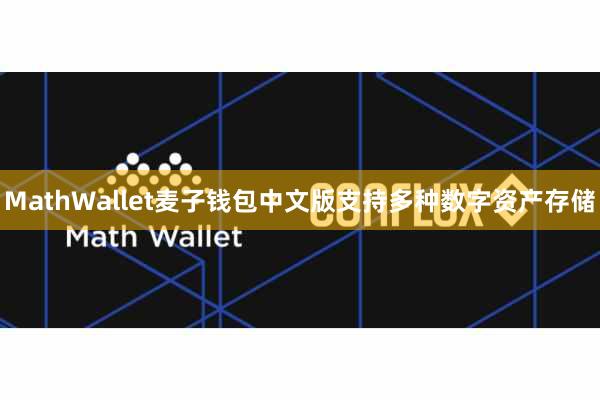 MathWallet麦子钱包中文版支持多种数字资产存储
