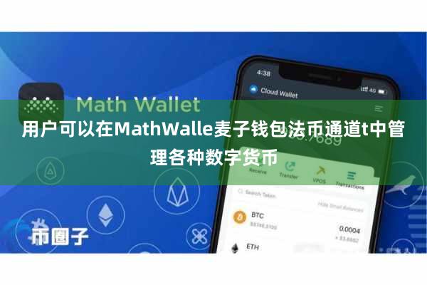 用户可以在MathWalle麦子钱包法币通道t中管理各种数字货币