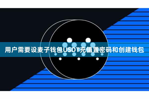 用户需要设麦子钱包USDT充值置密码和创建钱包