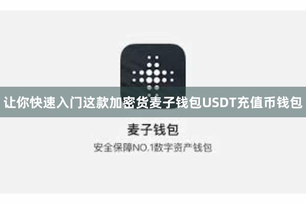 让你快速入门这款加密货麦子钱包USDT充值币钱包