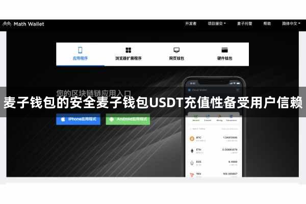 麦子钱包的安全麦子钱包USDT充值性备受用户信赖