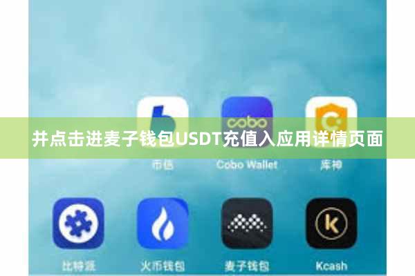 并点击进麦子钱包USDT充值入应用详情页面