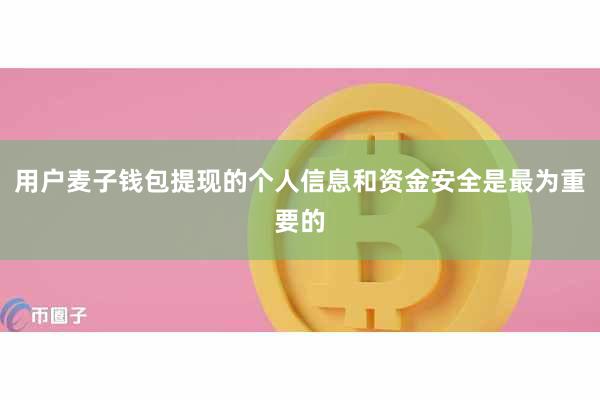 用户麦子钱包提现的个人信息和资金安全是最为重要的