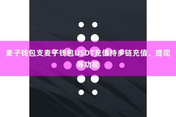 麦子钱包支麦子钱包USDT充值持多链充值、提现等功能