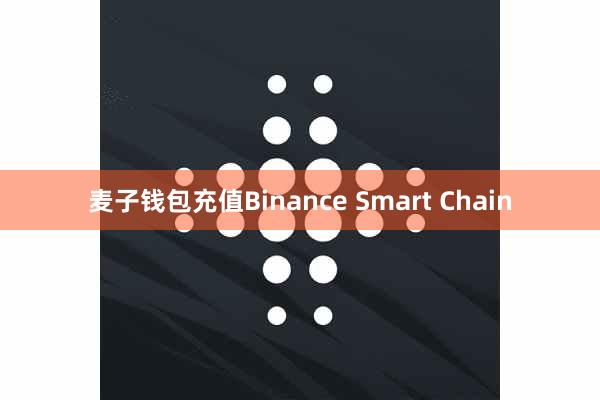 麦子钱包充值Binance Smart Chain