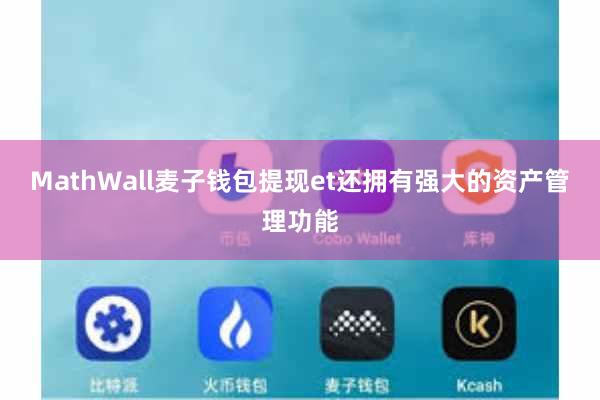 MathWall麦子钱包提现et还拥有强大的资产管理功能