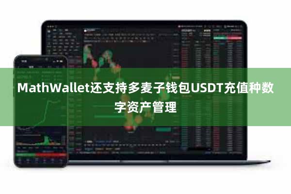 MathWallet还支持多麦子钱包USDT充值种数字资产管理